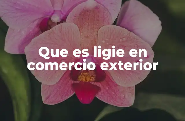 Que es Ligie en Comercio Exterior