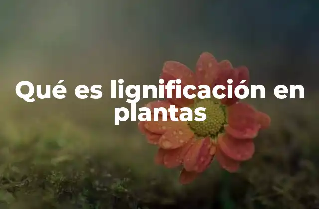 Qué es Lignificación en Plantas
