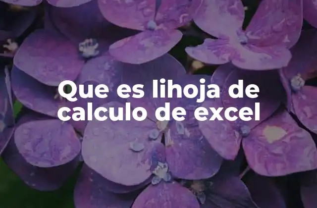 La importancia de las herramientas de cálculo en la vida moderna