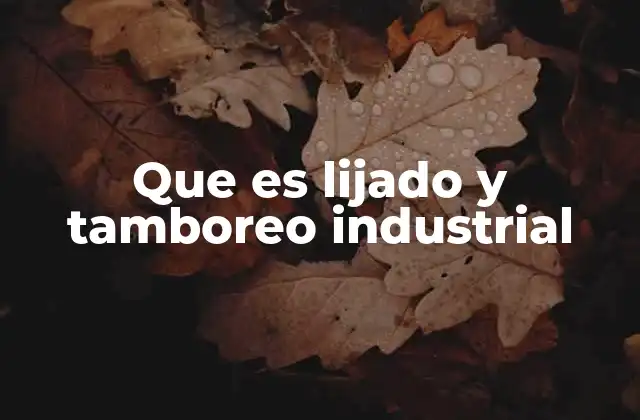 Que es Lijado y Tamboreo Industrial