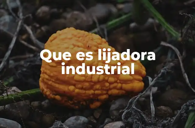 Que es Lijadora Industrial 2 Aplicaciones de las lijadoras industriales