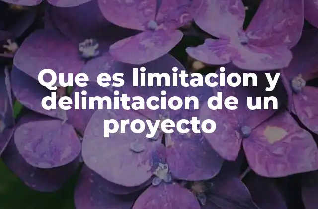 Que es Limitacion y Delimitacion de un Proyecto