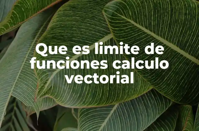 Que es Limite de Funciones Calculo Vectorial