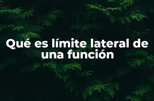 Qué es Límite Lateral de una Función