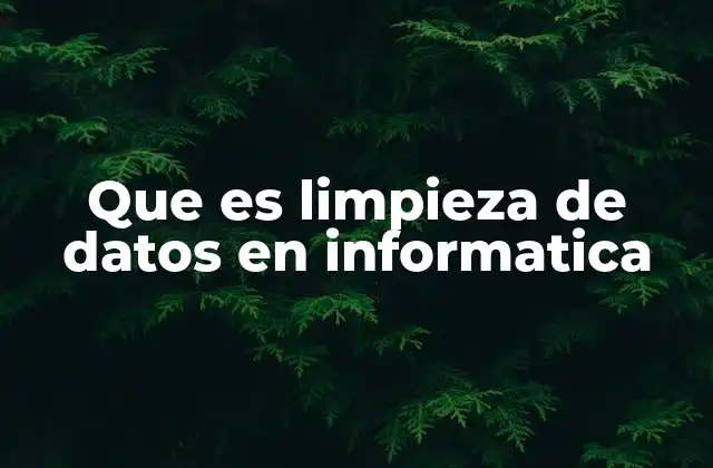 Que es Limpieza de Datos en Informatica