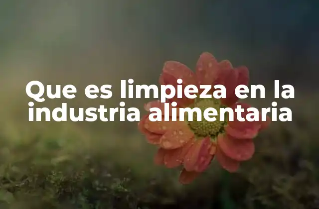 Que es Limpieza en la Industria Alimentaria