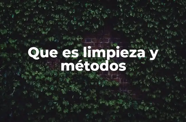 Que es Limpieza y Métodos