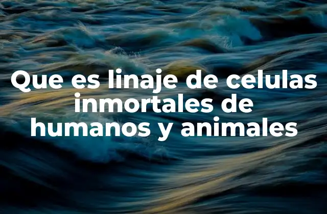Que es Linaje de Celulas Inmortales de Humanos y Animales