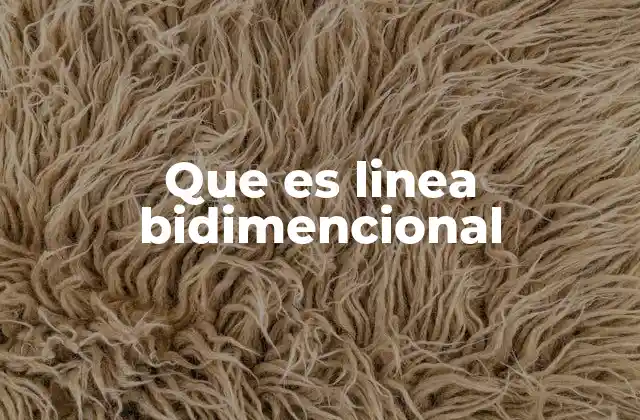 La importancia de las líneas en el diseño bidimensional