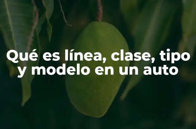 Cómo los fabricantes utilizan estos términos para definir sus vehículos