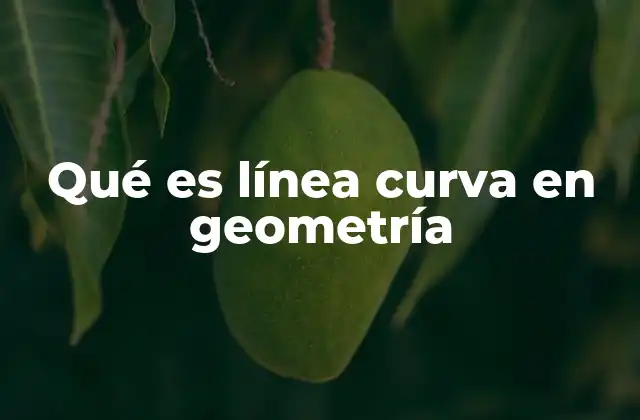 Qué es Línea Curva en Geometría