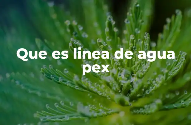 Que es Linea de Agua Pex