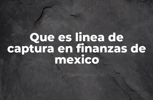 Que es Linea de Captura en Finanzas de Mexico