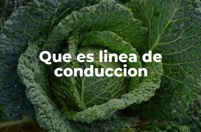Que es Linea de Conduccion