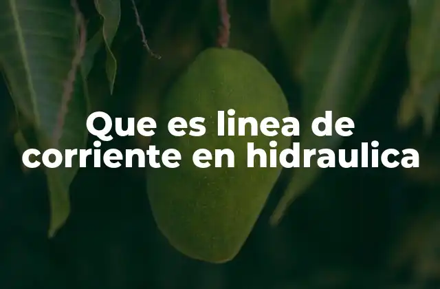 Que es Linea de Corriente en Hidraulica