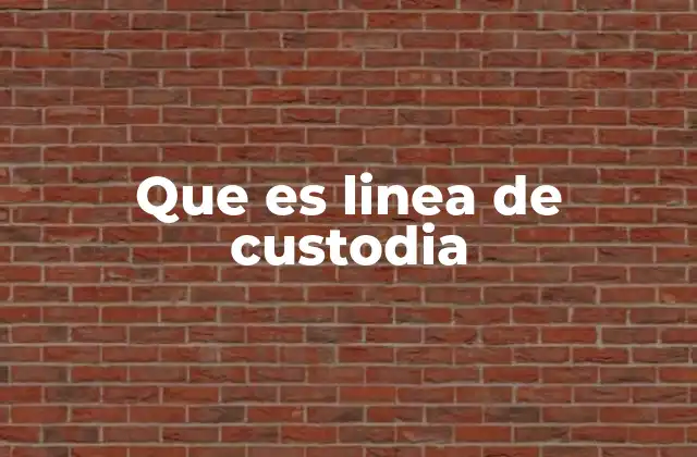 Que es Linea de Custodia