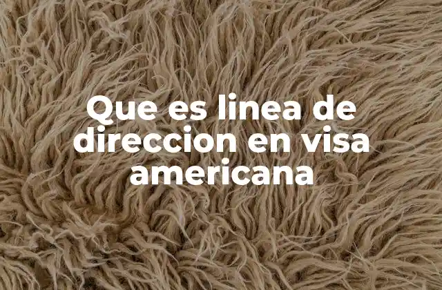 Que es Linea de Direccion en Visa Americana