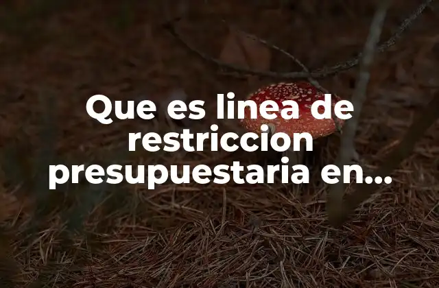 Cómo se visualiza la frontera de lo posible en la toma de decisiones económicas