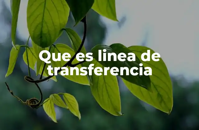 Que es Linea de Transferencia