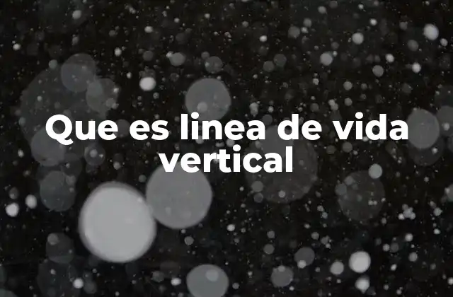 Que es Linea de Vida Vertical