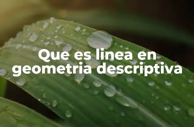 Que es Linea en Geometria Descriptiva