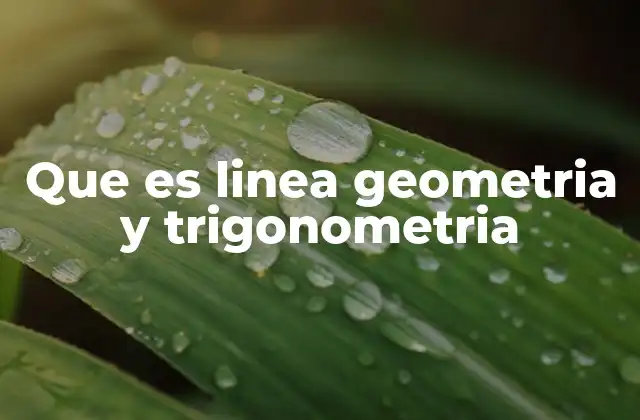 Que es Linea Geometria y Trigonometria