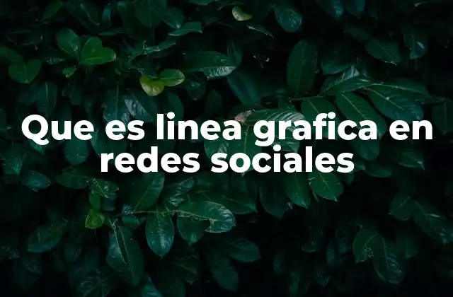 Que es Linea Grafica en Redes Sociales