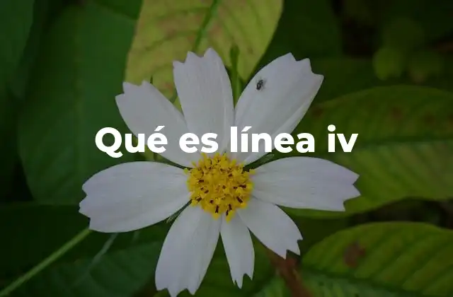 Qué es Línea Iv