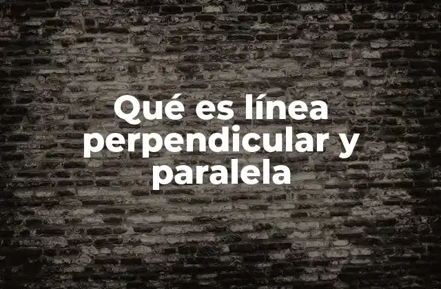Qué es Línea Perpendicular y Paralela