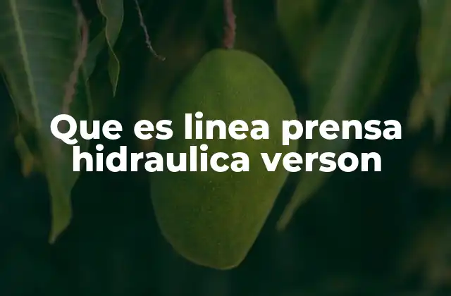 Que es Linea Prensa Hidraulica Verson