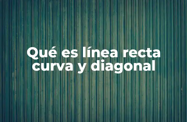 Características de las líneas en geometría