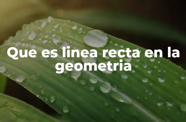 Que es Linea Recta en la Geometria