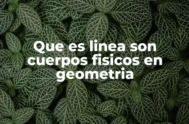 Que es Linea Son Cuerpos Fisicos en Geometria