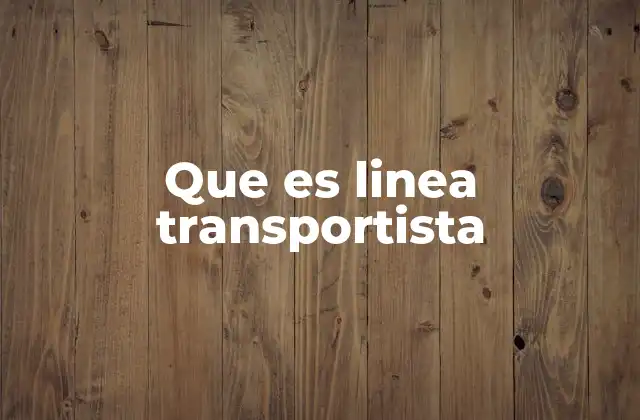 Que es Linea Transportista