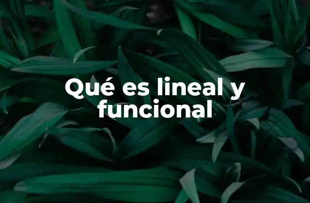 Qué es Lineal y Funcional