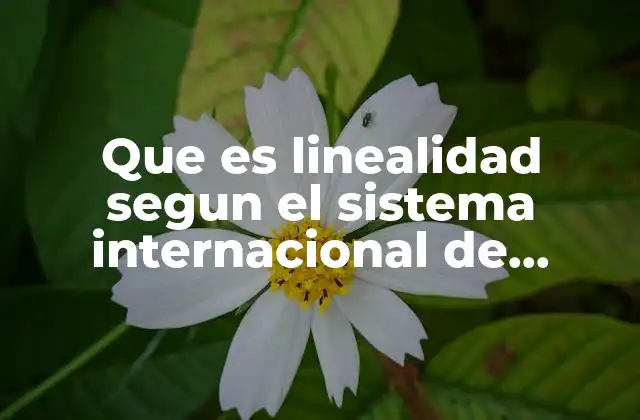 Que es Linealidad Segun el Sistema Internacional de Unidades