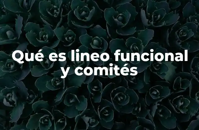 Qué es Lineo Funcional y Comités 2 Estructura y funcionamiento del modelo lineo funcional y comités