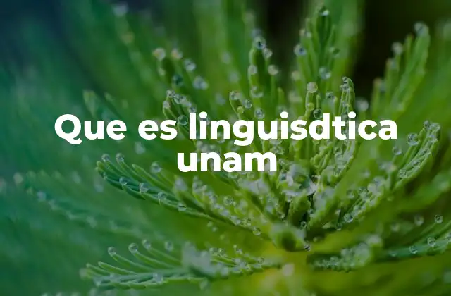 Que es Linguisdtica Unam