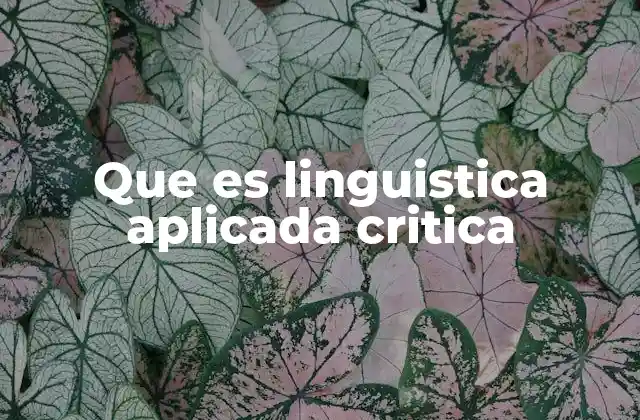 Que es Linguistica Aplicada Critica