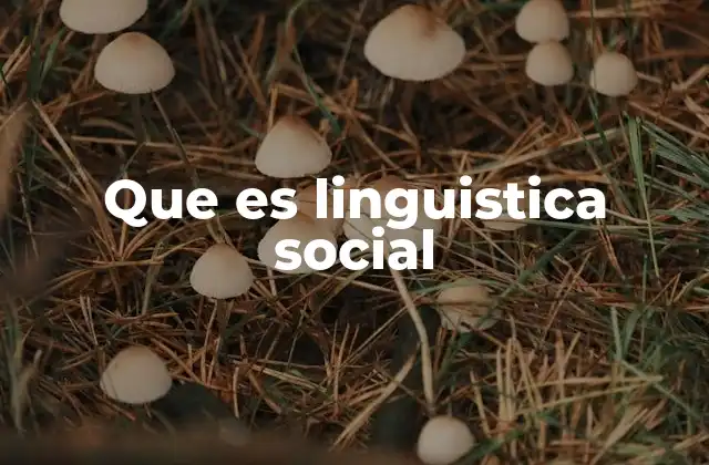 Que es Linguistica Social