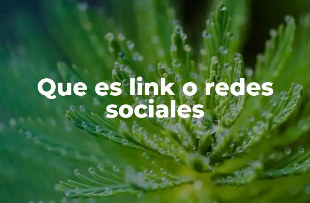 Que es Link o Redes Sociales