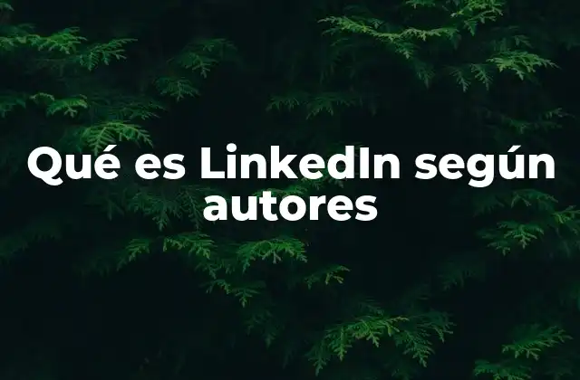 La visión de LinkedIn desde el ámbito académico