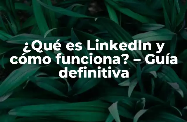 ¿qué es Linkedin y Cómo Funciona? – Guía Definitiva