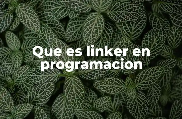 El rol del linker en la creación de programas ejecutables