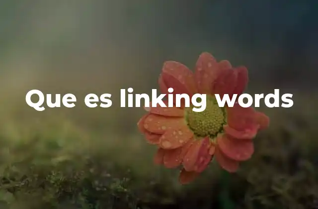 Que es Linking Words