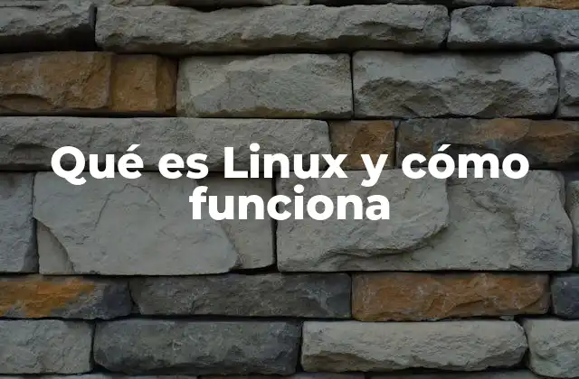 Qué es Linux y Cómo Funciona