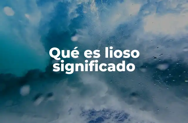 Qué es Lioso Significado