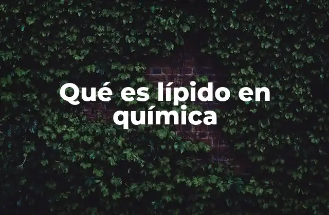 Qué es Lípido en Química