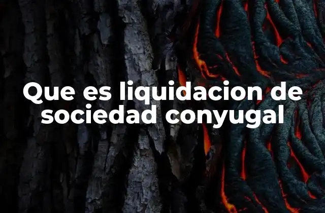 Que es Liquidacion de Sociedad Conyugal 2 Cómo se estructura el proceso de división patrimonial