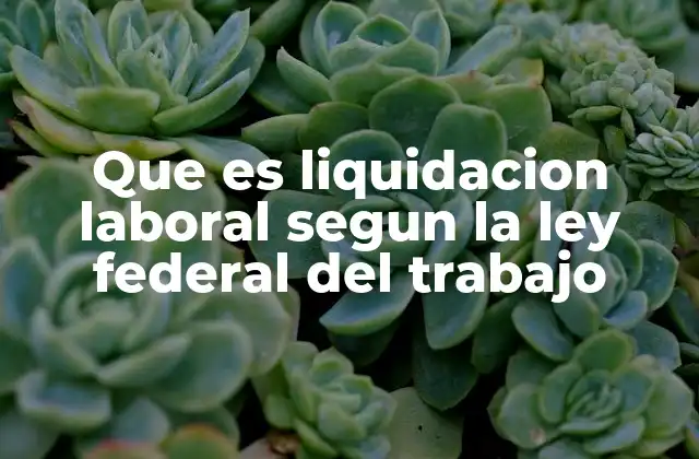 Que es Liquidacion Laboral Segun la Ley Federal Del Trabajo